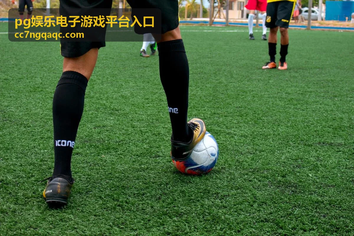 pg娱乐电子游戏平台入口验证信息与登录环境检查