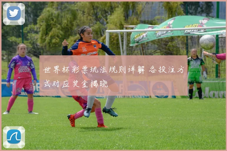 世界杯彩票玩法规则详解 各投注方式对应奖金揭晓